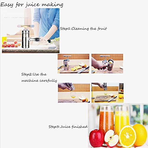 Fabricante De Fideos, 6 Pcs MáQuina para Hacer Pasta, MáQuina para Hacer Fideos Manual, 1 X Fabricante + 5 X Molde, Acero Inoxidable, PortáTil