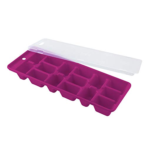 Fackelmann 49368 Cubitera con Tapa 15 cavidades, 25x10cm, Colores surtidos (azul/verde/purpura)