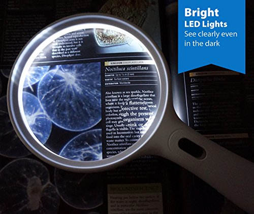 Fancii Lupa de Mano Grande con Luz LED para Lectura, aumento de 2X 3.5X - 138mm Lente Gigante Iluminada Sin Distorsión para Libros, Exploración, Inspección y Mapas