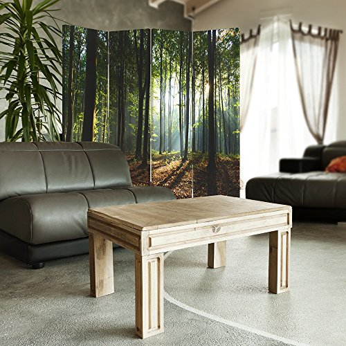 Feeby Frames Biombo Impreso Sobre Lona, tabique Decorativo para Habitaciones, a Doble Cara, de 4 Piezas, 360° (145x150 cm), Bosque, ÁRBOLES, Paisaje, Naturaleza, Verde