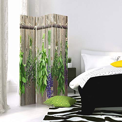 Feeby Frames Biombo Impreso sobre Lona, tabique Decorativo para Habitaciones, a una Cara, de 3 Piezas (110x150 cm), Plantas AROMÁTICAS, Verde, Gris