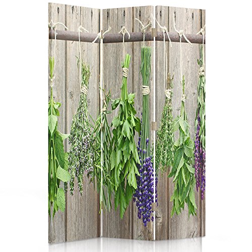 Feeby Frames Biombo Impreso sobre Lona, tabique Decorativo para Habitaciones, a una Cara, de 3 Piezas (110x150 cm), Plantas AROMÁTICAS, Verde, Gris