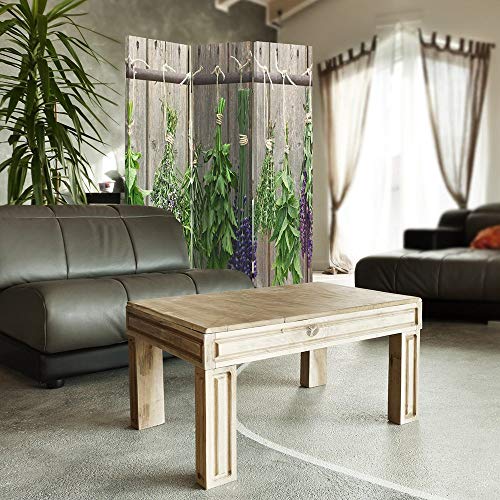 Feeby Frames Biombo Impreso sobre Lona, tabique Decorativo para Habitaciones, a una Cara, de 3 Piezas (110x150 cm), Plantas AROMÁTICAS, Verde, Gris
