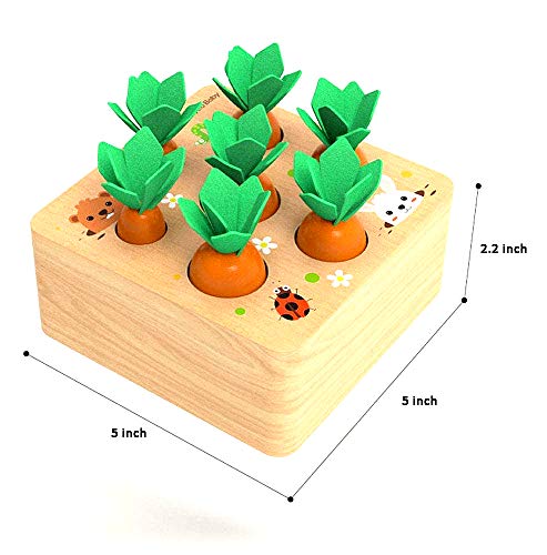 Felly Juguetes Bebes 1 Año, Rompecabezas Juegos de Madera Zanahorias Clasificación, Juguetes Montessori Educativo Temprano para Niños y Bebés de 1 2 3 años, Regalo de cumpleaños, Navidad