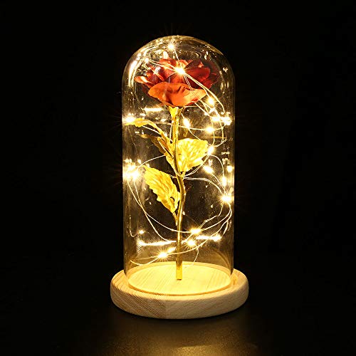 Fesjoy Flor de Rosa Preservada Rosa de Seda y Luz LED con Cúpula de Cristal Base de Madera Marrón Cubierta para Decoración Boda Fiesta Cumpleaños Aniversario San Valentín Día de la Mad