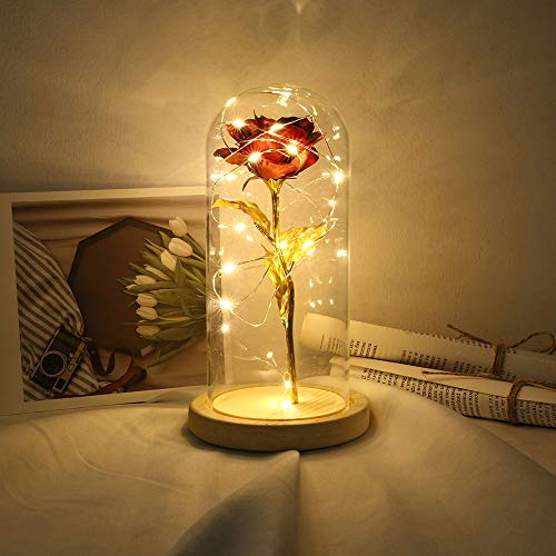 Fesjoy Flor de Rosa Preservada Rosa de Seda y Luz LED con Cúpula de Cristal Base de Madera Marrón Cubierta para Decoración Boda Fiesta Cumpleaños Aniversario San Valentín Día de la Mad