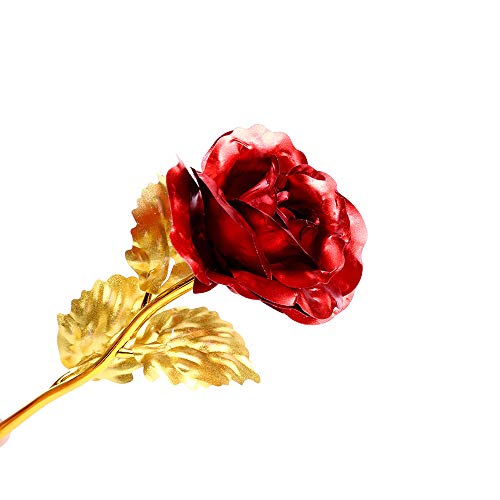 Fesjoy Flor de Rosa Preservada Rosa de Seda y Luz LED con Cúpula de Cristal Base de Madera Marrón Cubierta para Decoración Boda Fiesta Cumpleaños Aniversario San Valentín Día de la Mad