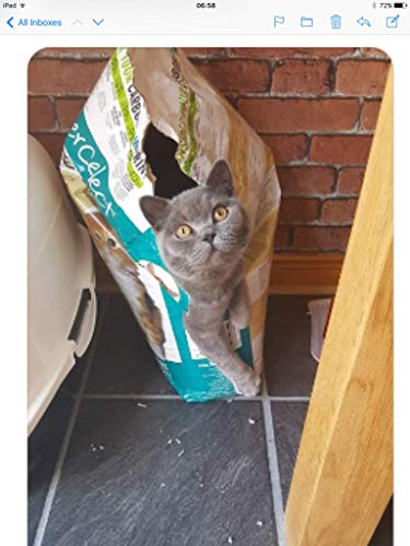 FIBRECYCLE Lecho de Papel Reciclado BreederCelect, 30 l, Gato