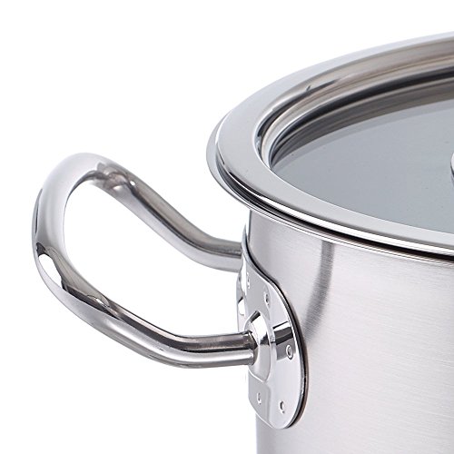 Fissler original-profi collection / Olla de acero inoxidable (3,9 litros, Ø 20 cm) con tapadera de vidrio, apta para cocinas de inducción, gas, vitrocerámica y eléctricas