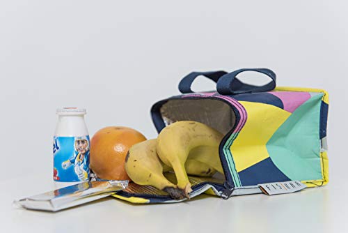Fisura HM0774 Nevera Portátil Pequeña | Bolsa Térmica Porta Alimentos | Fiambrera con Aislamiento para Llevar Comida para Trabajo - Colegio - Playa - Coche - Camping, 20x15.5x12.5 cm