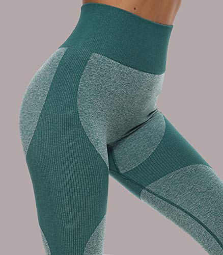 FITTOO Leggings Sin Costuras Mujer Pantalon Deportivo Alta Cintura Yoga Elásticos Fitness SeamlessGP1600#1 Verte Small