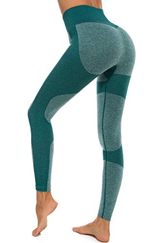 FITTOO Leggings Sin Costuras Mujer Pantalon Deportivo Alta Cintura Yoga Elásticos Fitness SeamlessGP1600#1 Verte Small