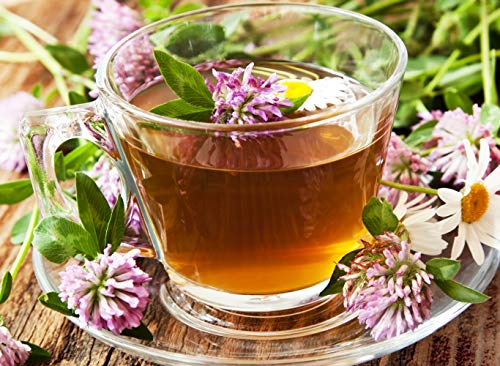 Flor del Trébol Rojo 50g ( Trifolium pratense ) té de hierbas / Red Clover Flower 50g - Health Embassy - 100% Natural