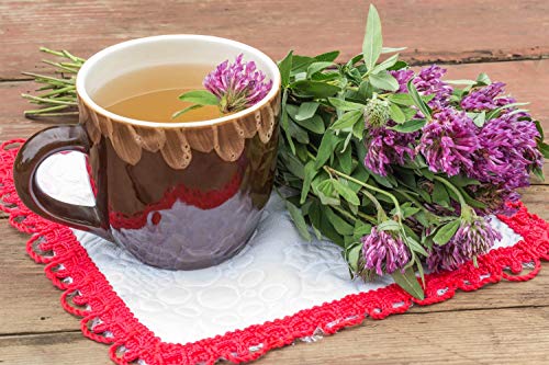 Flor del Trébol Rojo 50g ( Trifolium pratense ) té de hierbas / Red Clover Flower 50g - Health Embassy - 100% Natural