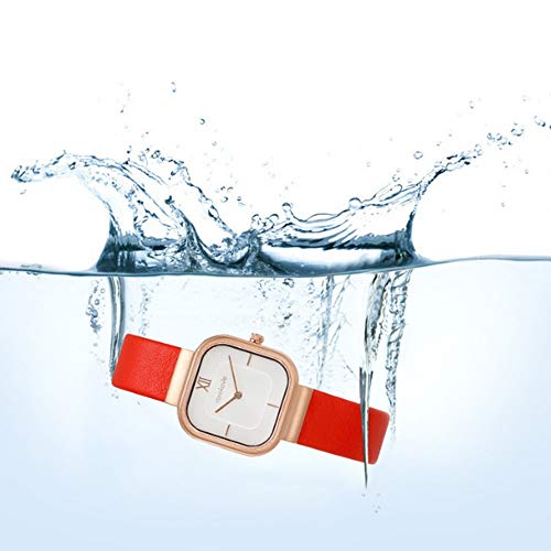 FNCUR Dial Reloj del Cuadrado Hembra Swiss Azúcar, Correa De Cuero Simple, Placa Blanca Cuarzo De Las Señoras del Reloj, De Oro Rosa Placa Blanca Gris, Rojo (Color : Red)