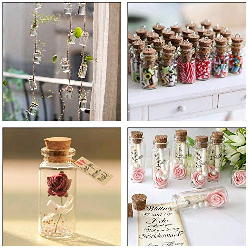 FOGAWA 48Pcs Mini Botellas de Vidrio 20ML Mini Botes de Cristal con Tapón de Corcho Botella para Boda Decoraciones Favores DIY Mensajes con 48 Tornillos 3 Embudos 30M Cuerda de Cáñamo