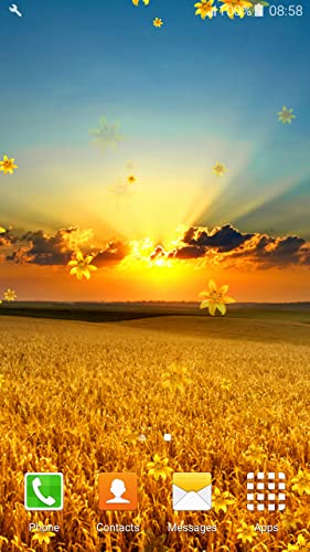 Fondo de Pantalla de Golden Sunset Live