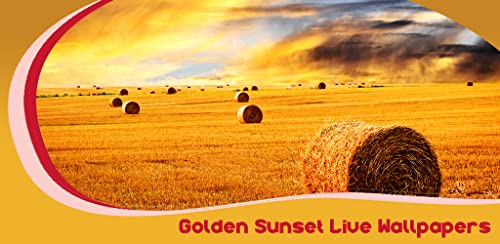 Fondo de Pantalla de Golden Sunset Live