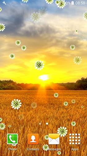 Fondo de Pantalla de Golden Sunset Live