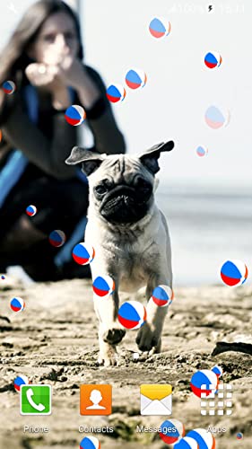 Fondos de Pantalla de Pugs