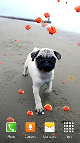 Fondos de Pantalla de Pugs