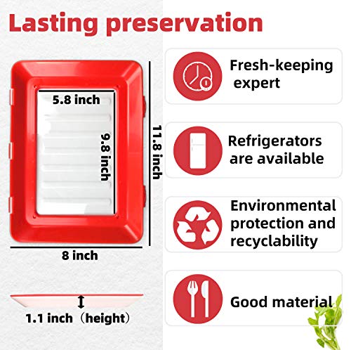 Food preservation tray，Bandeja comida， el producto puede usarse para conservar queso, jamón, pizza, puede mantener los alimentos frescos y ahorrar espacio en el refrigerador. (2pcs)