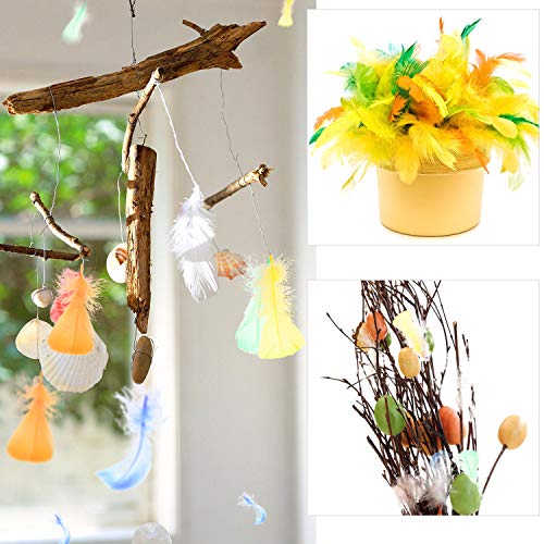 FORMIZON 600 Piezas Plumas de Colores, Plumas de la Decoración, 8-12cm, para Manualidades, Arte de DIY, Bodas, Decoración de Fiestas (Mezcla de Colores).