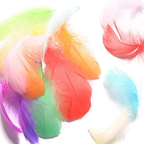FORMIZON 600 Piezas Plumas de Colores, Plumas de la Decoración, 8-12cm, para Manualidades, Arte de DIY, Bodas, Decoración de Fiestas (Mezcla de Colores).