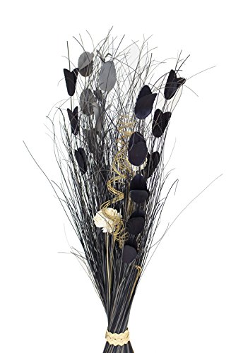 Frank Flechtwaren – Ramo decorativo antracita, altura aprox. 1 m, diámetro de la base: aprox. 12 cm