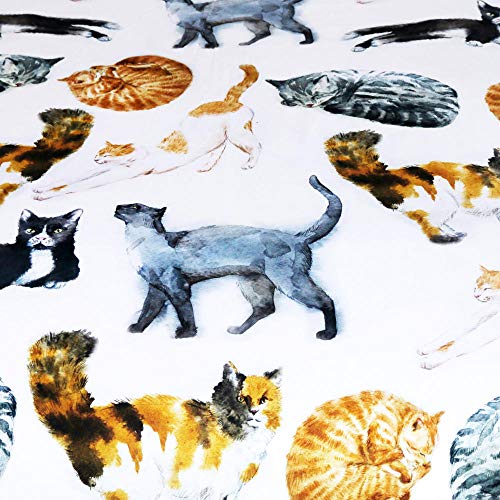 Funda Nórdica Lindo Gato Mascota200X200Cm Hipoalergénica Refrescante Polyester Juego De Ropa De Cama 1 Funda Nórdica 2 Funda De Almohada Moda Inicio Ropa De Cama