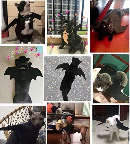 Gaocheng Mascota Perro Gato Traje de alas de Disfraz Vampiro de Halloween Cosplay Prop Disfraz de murciélago Accesorios de Halloween ala de murciélago Without Bell