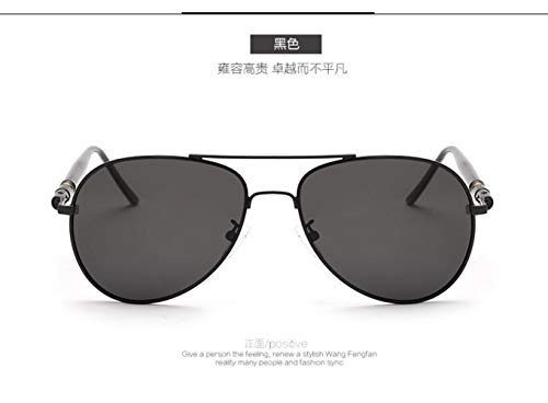 GAOLILI Lentes de conducción Marco de la Calidad de Gran tamaño de la Pierna de la aleación de los Hombres Gafas de Sol polarizadas Gafas de Diseño Conductor de conducción Gafas de Sol (Color : B)