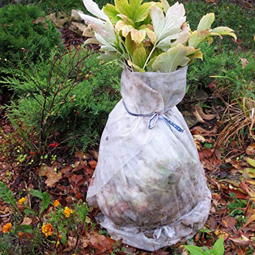 GARDENIX® 16 m² Vellón de protección contra Congelación para Invierno, Alta estabilización UV, Permeable al Agua, Cubierta de Invierno para Plantas (1,6m x 10m)