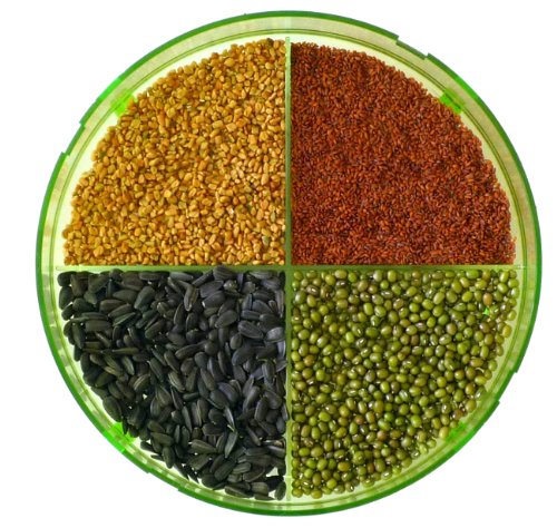 Geo Geo Plus - Germinador, 20.5 x 20.5 x 23 cm, color verde