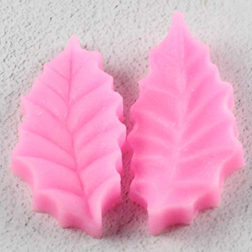 GEYKY Herramientas de decoración de Pasteles 2 Piezas Émbolo de Hoja de Pastel   Decoración de azúcar Molde para Manualidades Herramientas de Corte Molde para Pasteles