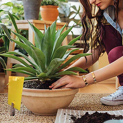 GiantGo 40 Piezas Trampas de Insectos de Doble Cara - Trampas Adhesivas de Doble Cara - Atrapa Insectos para Moscas, Insectos, Piojos, Atrapa, Polillas, Áfidos, 40 Piezas 1 Talla 2 Colores