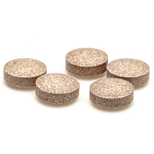 Ginkgo Biloba 6000mg Extracto estandarizado de hojas, 180 Tabletas Veganas con Vitamina B3 y B5. Aprobado por la Sociedad Vegetariana. Fabricado en el Reino Unido. Suministro por 6 meses.