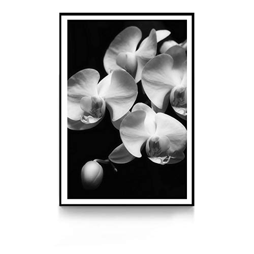 GJQFJBS Estilo nórdico Flor Blanca Lienzo Impreso Cartel Sala de Estar Dormitorio Estudio Café Arte de la Pared Imagen A1 30x40cm