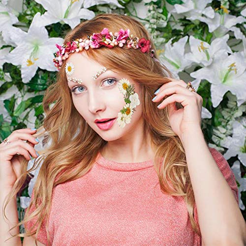 Gobesty Flor prensada Mixta, Flores secas naturales DIY Art Decoraciones florales Colección Regalo Follaje Floral Artcraft, Blanco