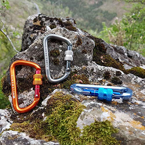 GO!elements Mosquetón 1200kg de Carga de Rotura Strong 8 con tapón de Rosca en Paquetes de 2 o 6 MAX. 12kN !, Color:Wave