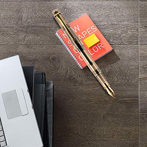 Goldge Pluma Estilográfica con 24 Cartuchos de Tinta，Pluma de escritura Perfecto Regalo para Niños y Adultos, Bolígrafos de Colores transparentes seis color, 6 Tipos de Puntas