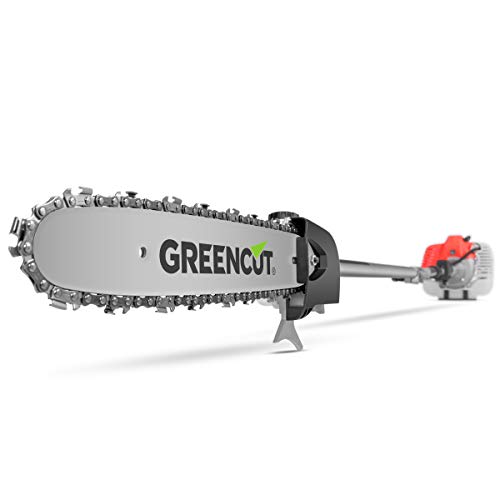 GREENCUT PP650X - Podadora de altura de gasolina de 56cc y 4,9cv, Espada de 305mm y altura maxima de 5m con 3 barras extensibles