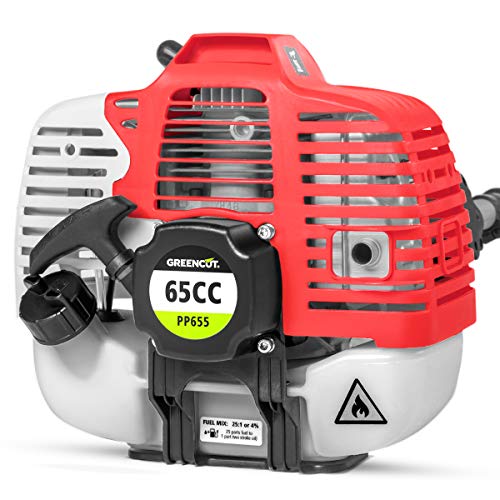 GREENCUT PP650X - Podadora de altura de gasolina de 56cc y 4,9cv, Espada de 305mm y altura maxima de 5m con 3 barras extensibles