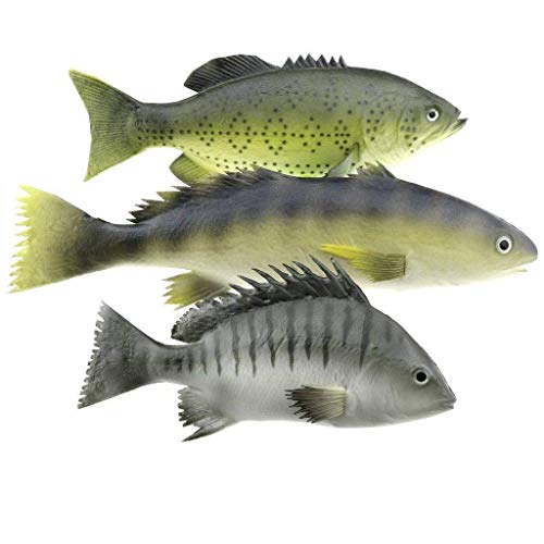 Gresorth 3 trozo Criaturas del mar Falso Pez Artificial Animal Juguetes Comida Modelo Tienda Monitor Decoración