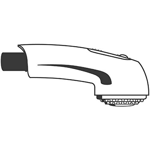 Grohe Recambios - Recambio de Teleducha para grifos de cocina (Ref. 46312IE0)