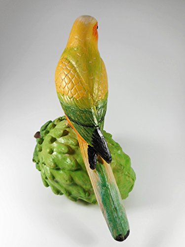 GTT C167 - Juego de 2 pájaros tropicales sobre fruta, 16 x 15 cm, diseño de pájaro tropical