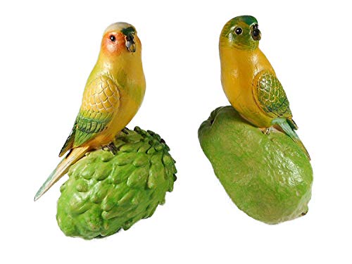 GTT C167 - Juego de 2 pájaros tropicales sobre fruta, 16 x 15 cm, diseño de pájaro tropical