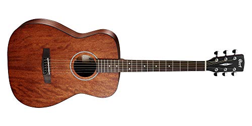 guitarra acústica de Body