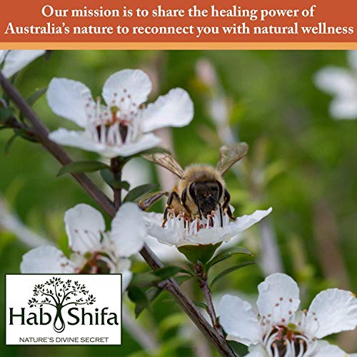 Hab Shifa Nature's Divine Secret Combinación única de miel australiana de Manuka Superalimento con polvo de arándanos secados con congelación añadida 30 + MGO 250 g (25 porciones)