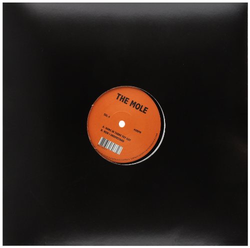 Hang In There Fry Guy [Vinilo]